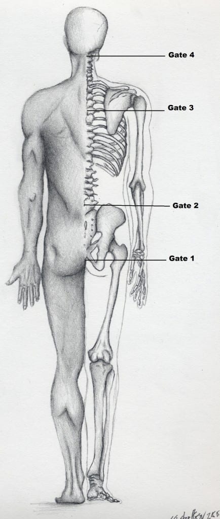 Body Gate Seven Gates of the Body according to Chinese Medicine Shelton Qigong